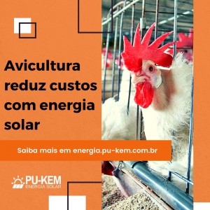 Energia solar beneficia também o agronegócio