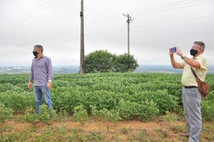 Áreas rurais receberão sistema de videomonitoramento