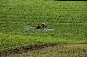 Empresa araxaense Satis comemora aumento do faturamento