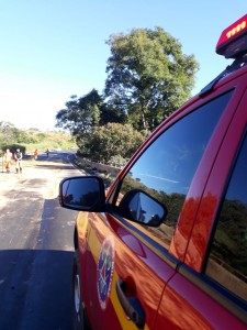 Caminhão cai em ponte na rodovia Araxá/Uberlândia