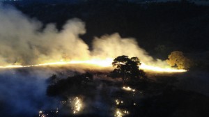 Corpo de Bombeiros registra vários incêndios florestais em Araxá