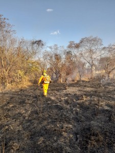 Bombeiros combatem mais um incêndio de grandes proporções em Araxá