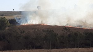 Incêndios preocupam Bombeiros em Araxá