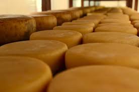 Araxá será sede de concurso internacional de queijos