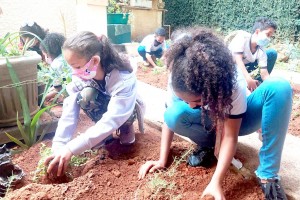 Alunos da Escola José Bento participam do projeto Plantio na Cultura