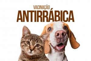 Vacinação de cães e gatos terá início na zona urbana