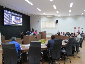 plenário reunião ordinária