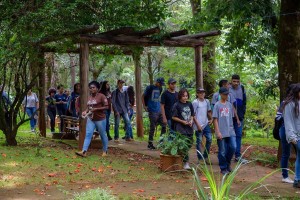 Casa do Pequeno Jardineiro (4)