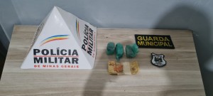 Polícia Militar prende homem por tráfico de drogas