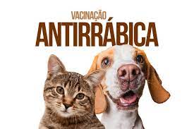 Campanha de Vacinação Antirrábica Animal inicia nesta quarta-feira (16)