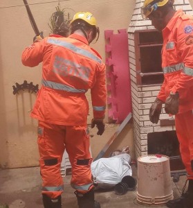 Corpo de Bombeiros captura gambá no bairro Pedro Pezzuti