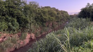 Prefeito Robson busca recursos em Brasília