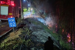 Bombeiros combatem incêndio na estrada do Barreiro