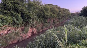 Prefeitura cadastra projeto de canalização do Córrego Grande no PAC