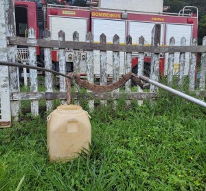 Bombeiros capturam cobra no Barreirinho