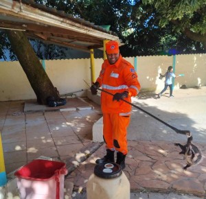 Animais silvestres são encontrados em escola infantil