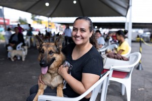 Cães e gatos serão castrados em nova etapa do mutirão