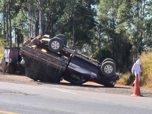 Capotamento de veículo com transporte de abelhas mobiliza Bombeiros na BR-262