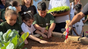 Escola Lia Salgado ganha horta sensorial