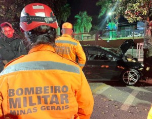 Motorista bate contra uma árvore no São Geraldo