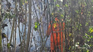 Bombeiros combatem incêndio no bairro Santa Rita