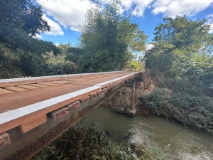 Ponte do Tamanduá é revitalizada