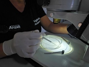 LIRAa aponta infestação de 0,3% em Araxá