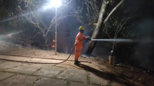 Incêndio atinge Parque do Cristo