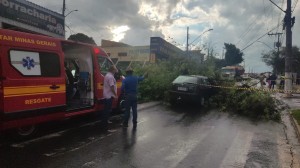 Chuva provoca queda de árvore sobre veículos na av. Amazonas