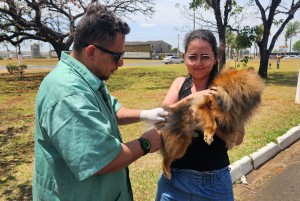 Araxá realiza Dia D de Vacinação Antirrábica neste sábado (4)
