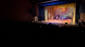 Conservação do bioma e educação ambiental: CBMM encerra edição 2025 do Cientistas do Cerrado