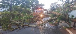 Fortes chuvas provocam ocorrências em Araxá