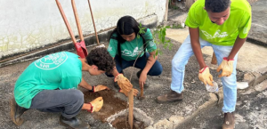 Jovens do Casa do Pequeno Jardineiro realizam plantio de árvores em parceria com o IPDSA