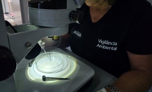 Primeiro LIRAa de 2026 aponta média infestação do Aedes aegypti