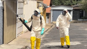 Prefeitura executa estratégias de combate ao Aedes aegypti