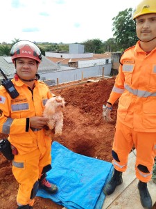 Corpo de Bombeiros resgatam cão em buraco de 6 metros