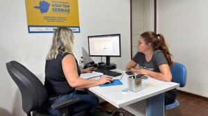 mei declaração