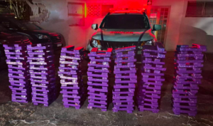 Polícia Militar apreende cerca de 300 kg de maconha em Araxá