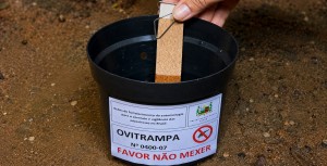 Araxá inicia nova estratégia de combate à dengue