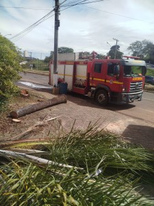 Chuvas intensas no fim-de-semana provocaram quedas de árvores em Araxá