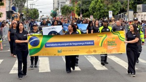 desfile 2