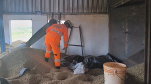 Homem morre soterrado em silo de grãos de café